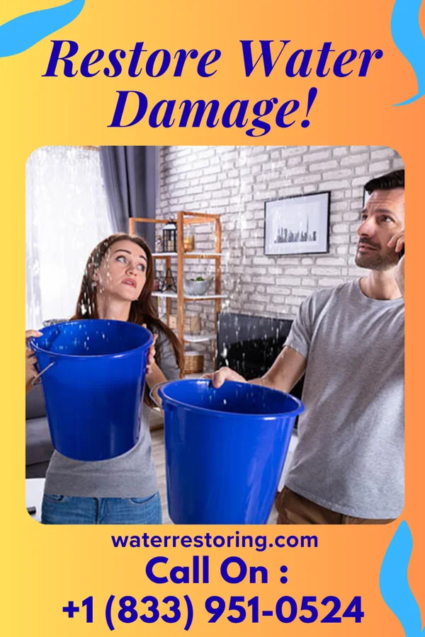 water restoration Platinum Water Damage Co Marcy